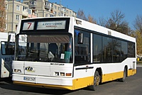 IMG 8555