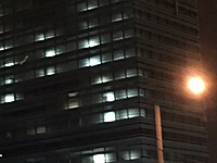 IMG 3514