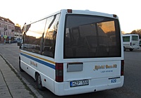 IMG 7017