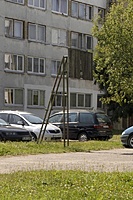 Kauno kiemas