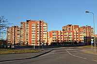 DSC 0407