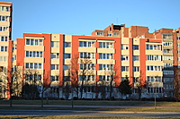 DSC 0409