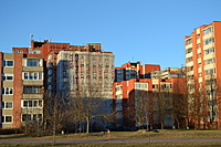 DSC 0416