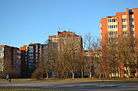 DSC 0419