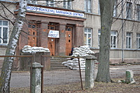 DSC 0525