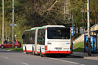 DSC 8317M
