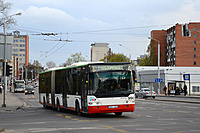 DSC 8356M