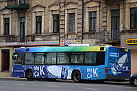 DSC 8498