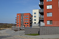 DSC 0453