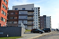 DSC 0454