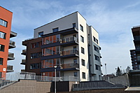 DSC 0456