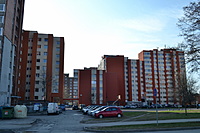 DSC 0425