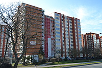DSC 0427
