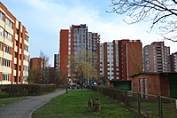 DSC 0489