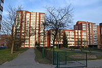 DSC 0495