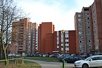 DSC 0498
