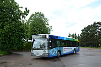 DSC 8951