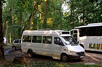 DSCF5314