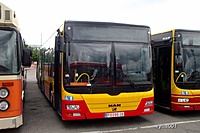 DSCF5416