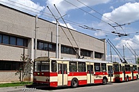 DSCF5598