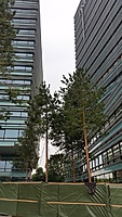20160711 175355 tn