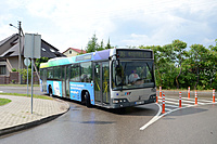 DSC 0221