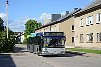 DSC 0310