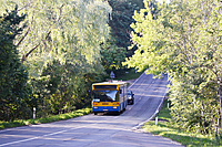 DSC 0320