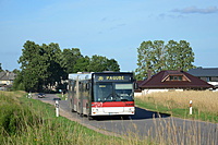 DSC 0339