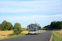 DSC 0351