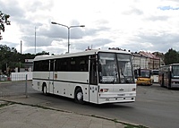 IMG 1111