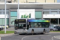 DSC 0732