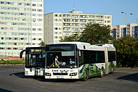 DSC 1741