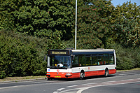 DSC 1809