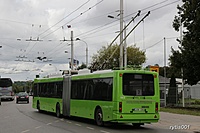 IMG 7203