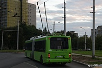 IMG 7331