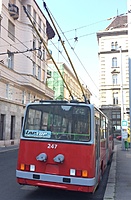 IMG 1219