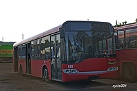 IMG 8115