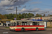 IMG 8375