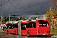 IMG 8431