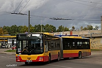 IMG 8434