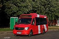 IMG 8463
