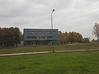 Daimonda