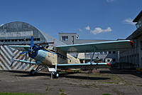 DSC 0918