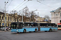 DSC 3111