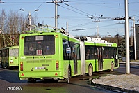 IMG 0218