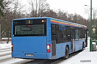 IMG 0824