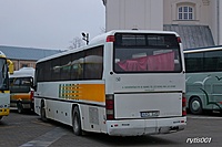 IMG 1211
