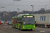 IMG 3286
