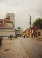Pingvinas, Kranto g.